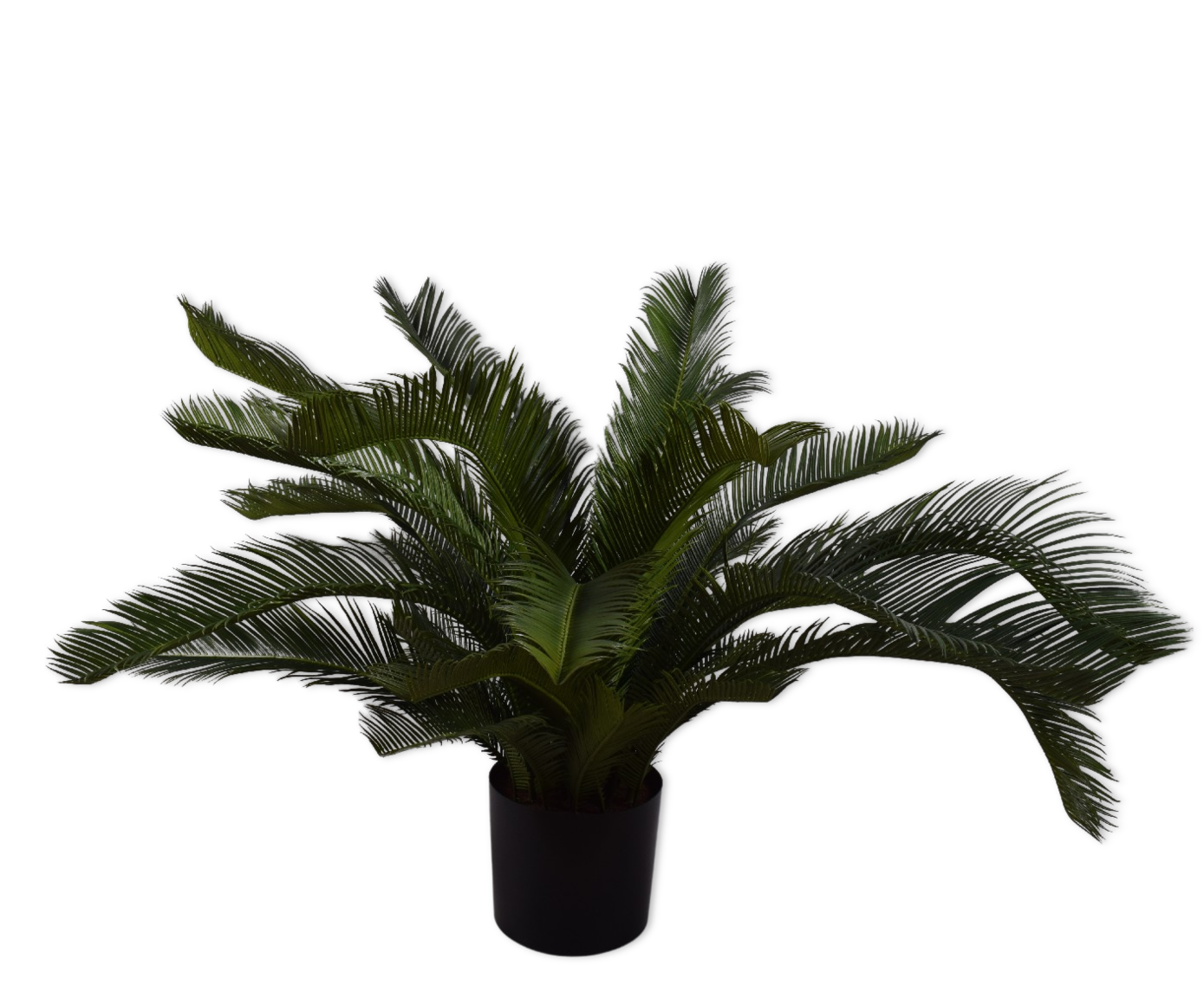 PALM  GROEN 80 cm