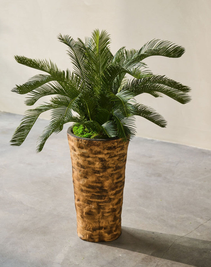 PALM  GROEN 80 cm