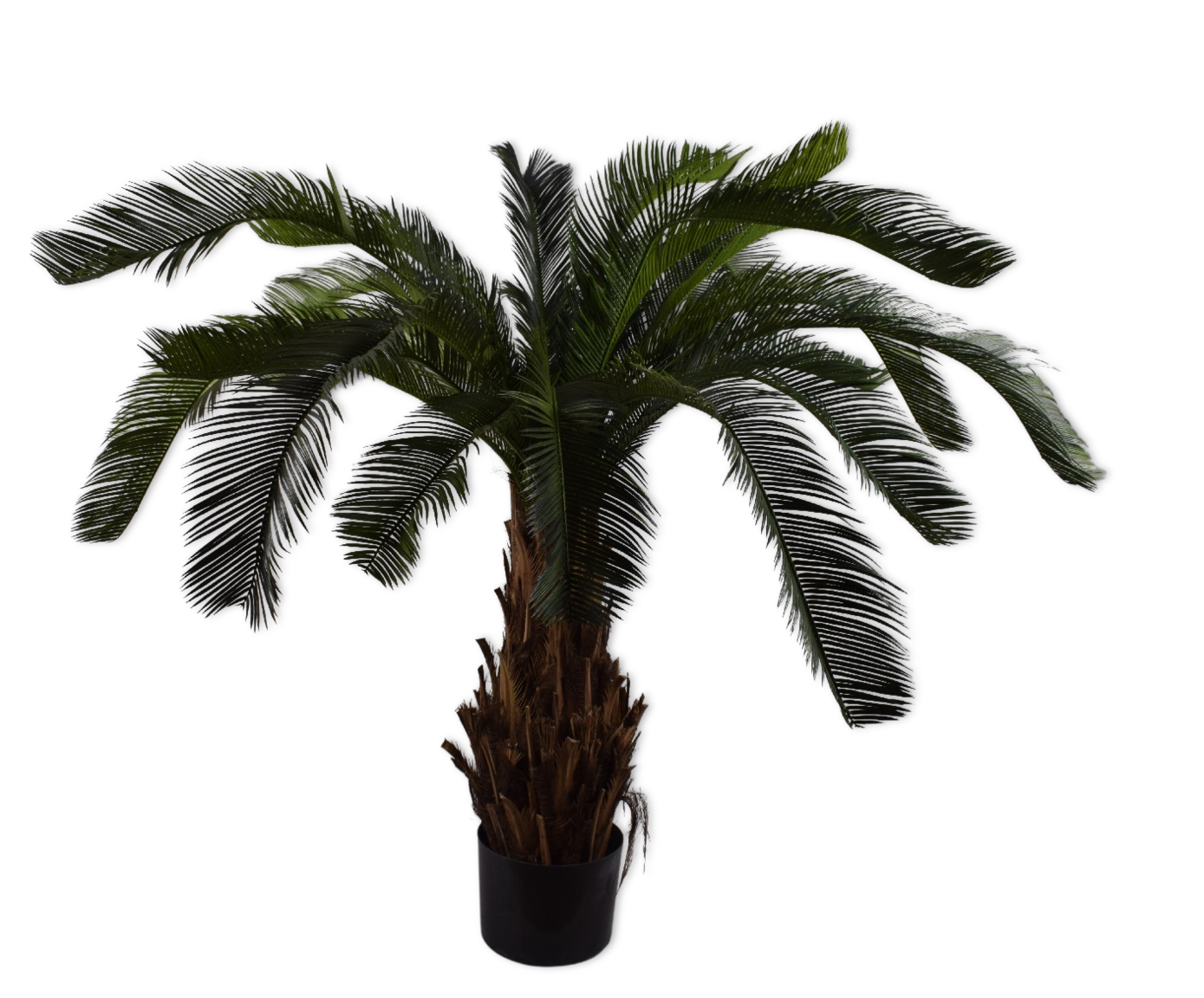 PALM  GROEN 60 cm