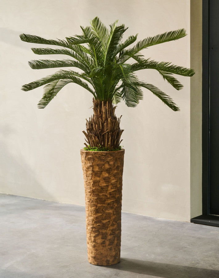PALM  GROEN 60 cm