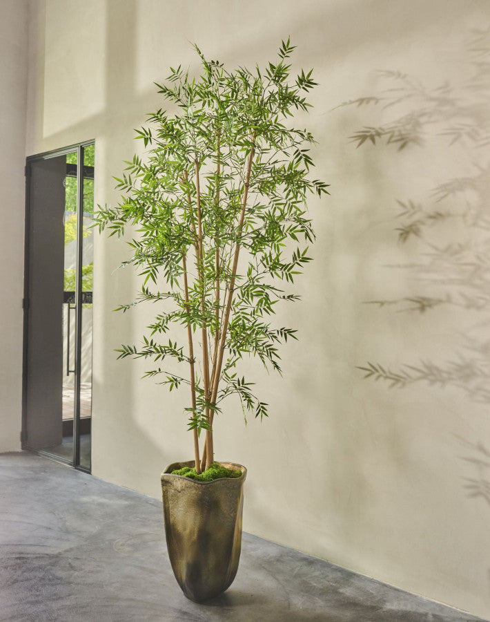 BAMBOE  GROEN  245 cm