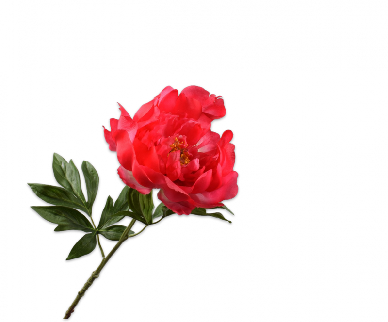 Pioen fuchsia 61 cm - Zijden bloem - Kunst bloem -duurzaam