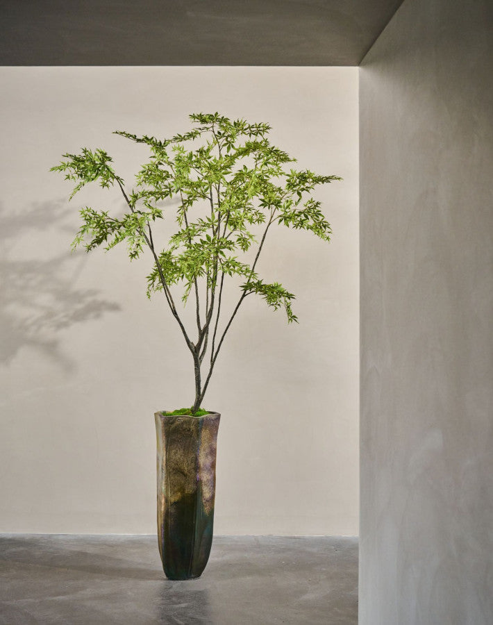 ESDOORN I/POT GROEN 284 cm