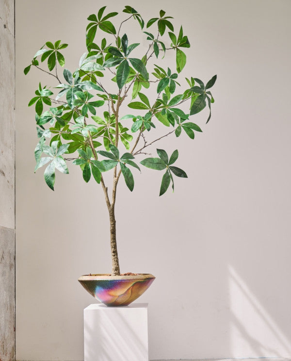 PACHIRA I/POT GROEN FR 205 cm