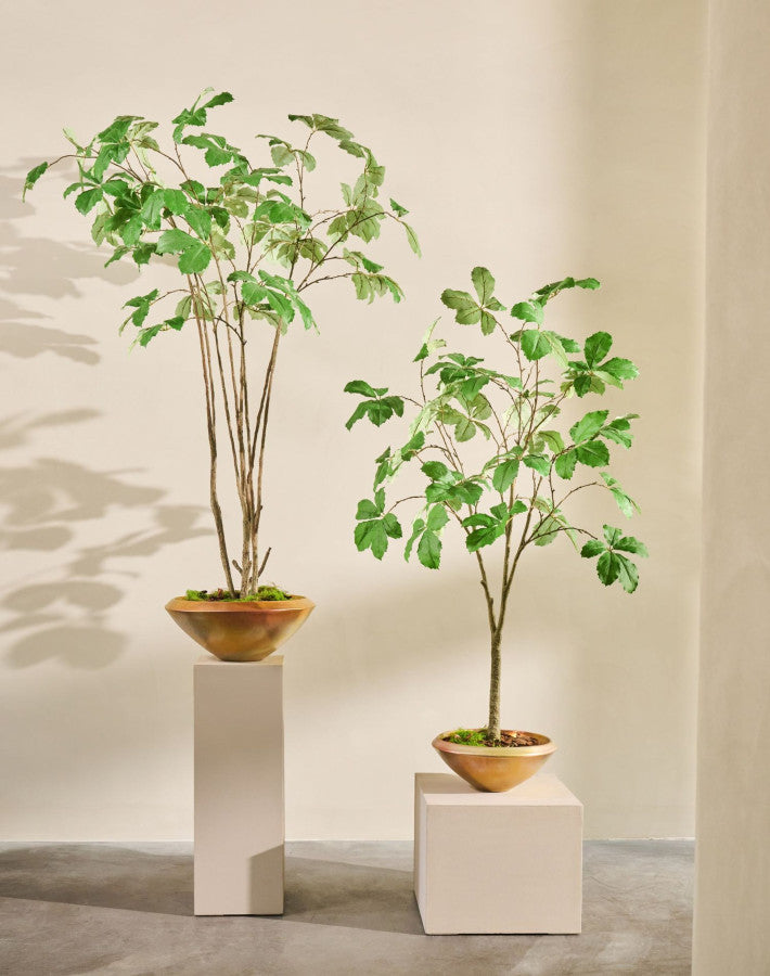 KASTANJE I/POT GROEN 205 cm