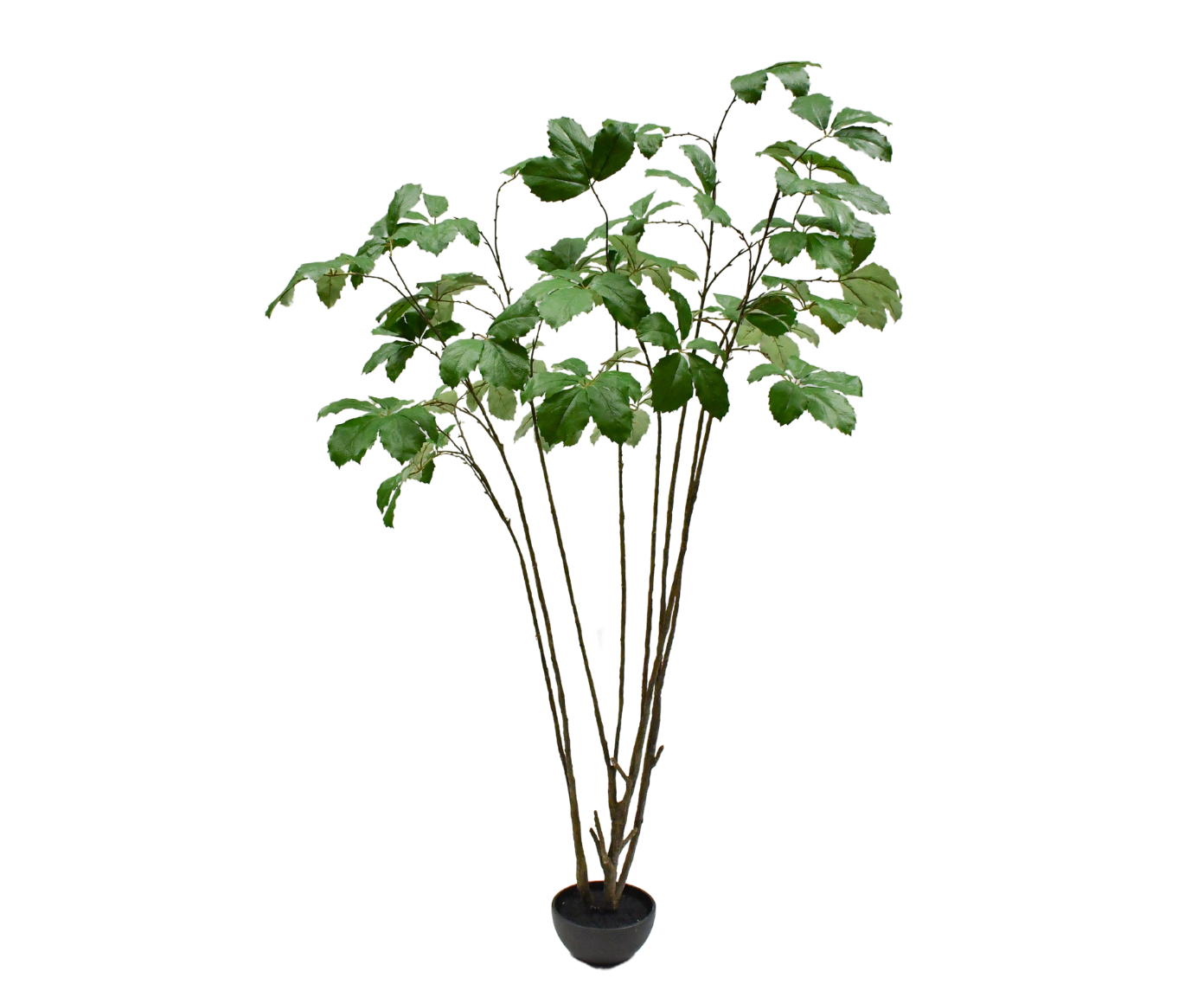 PLANT  GROEN  230 cm
