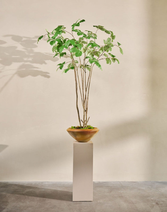 PLANT  GROEN  230 cm