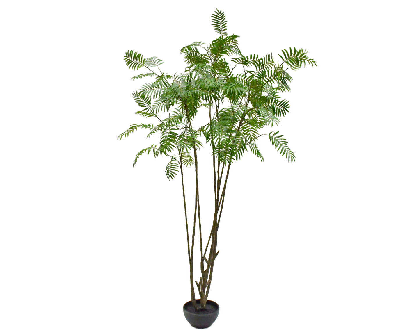 SORBUS I/POT GROEN 240 cm