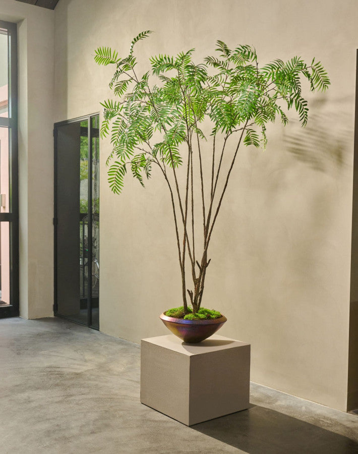 SORBUS I/POT GROEN 240 cm