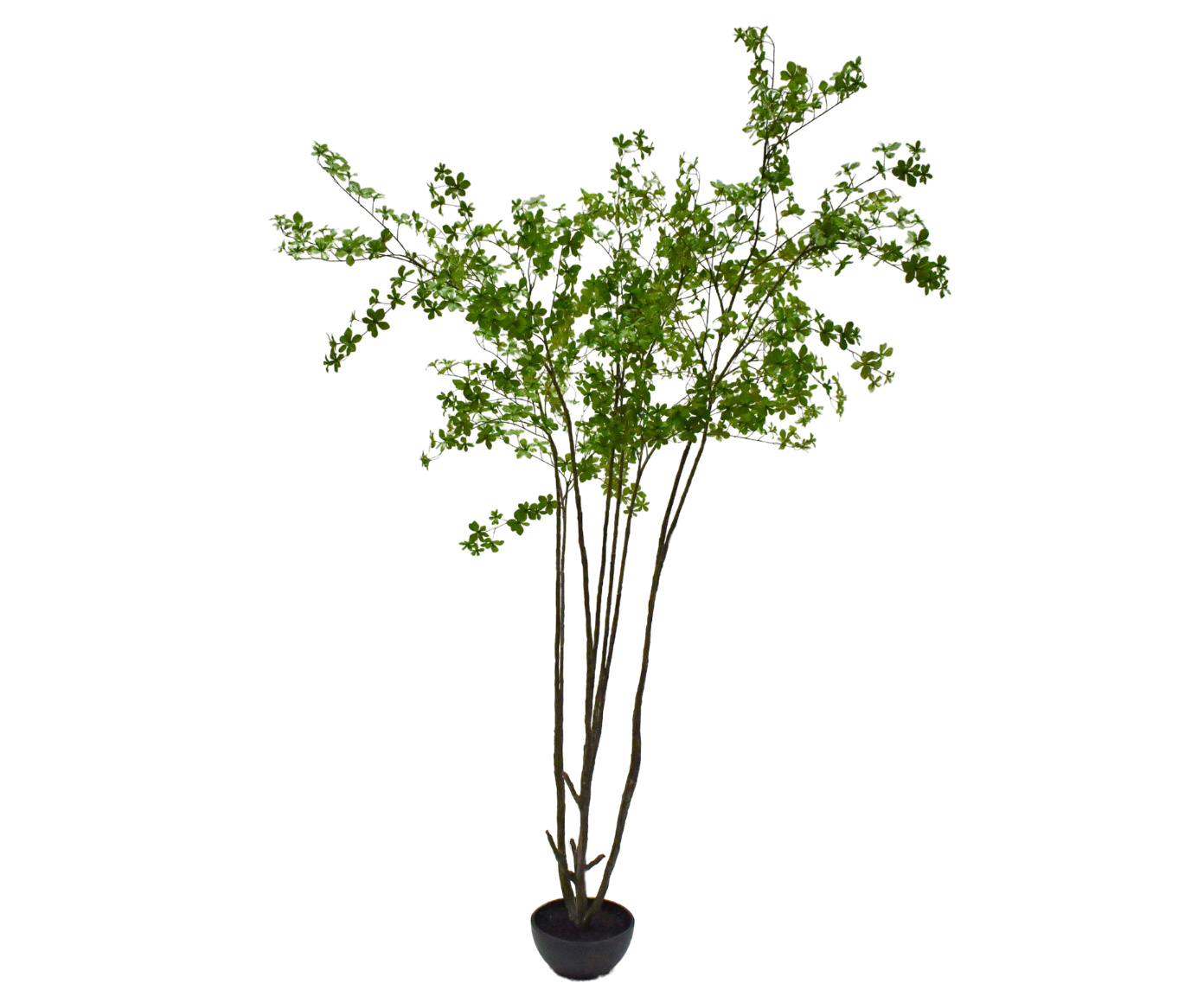 PLANT  GROEN FR 250 cm