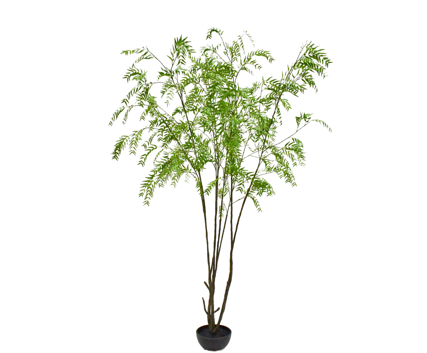 PLANT  GROEN FR 280 cm