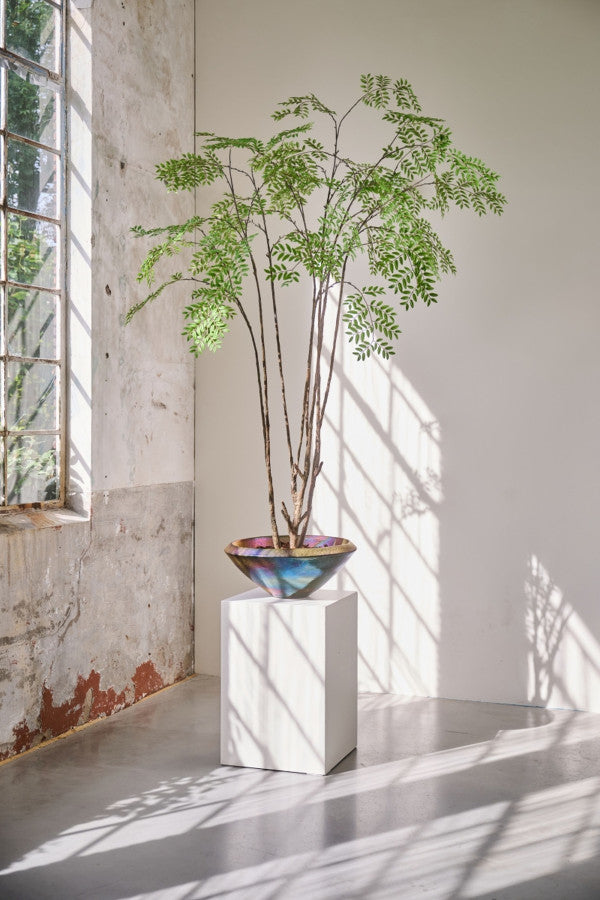 ARALIA I/POT GROEN FR 240 cm