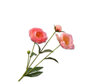Losse zijdenbloem - Pioen  Zalm Rt - 66 cm