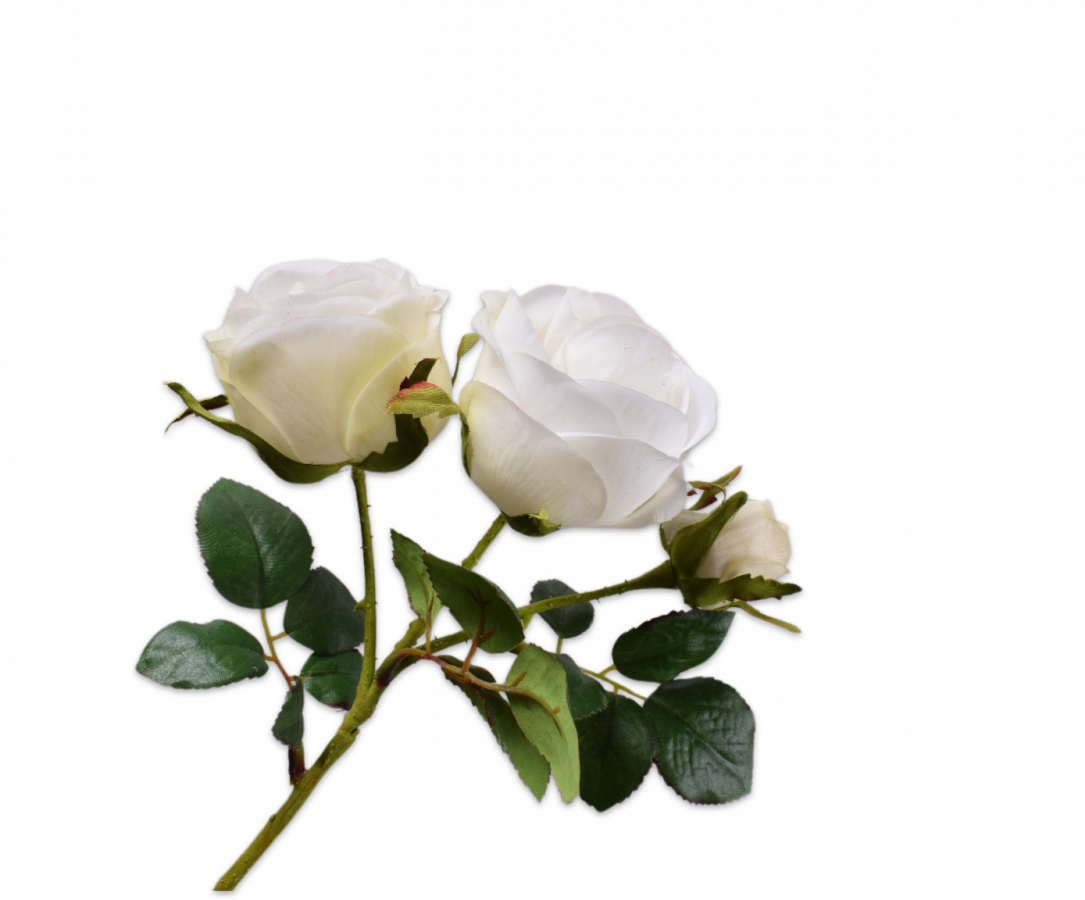 ROOS TAK CREME RT 56 cm