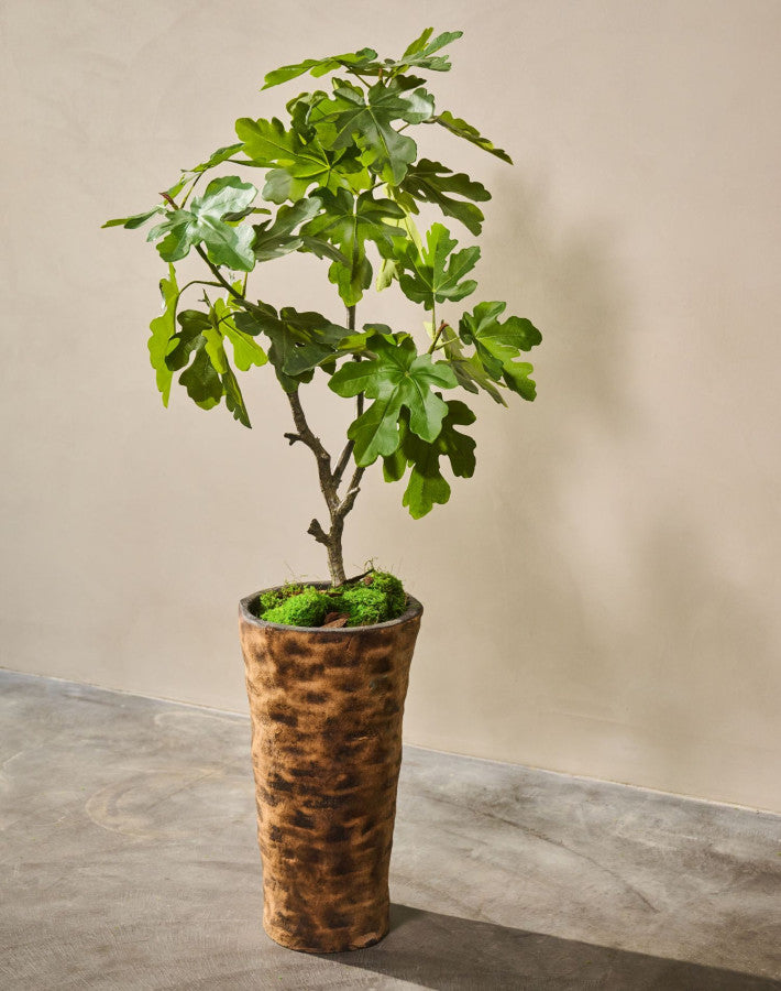 VIJG  GROEN  122 cm
