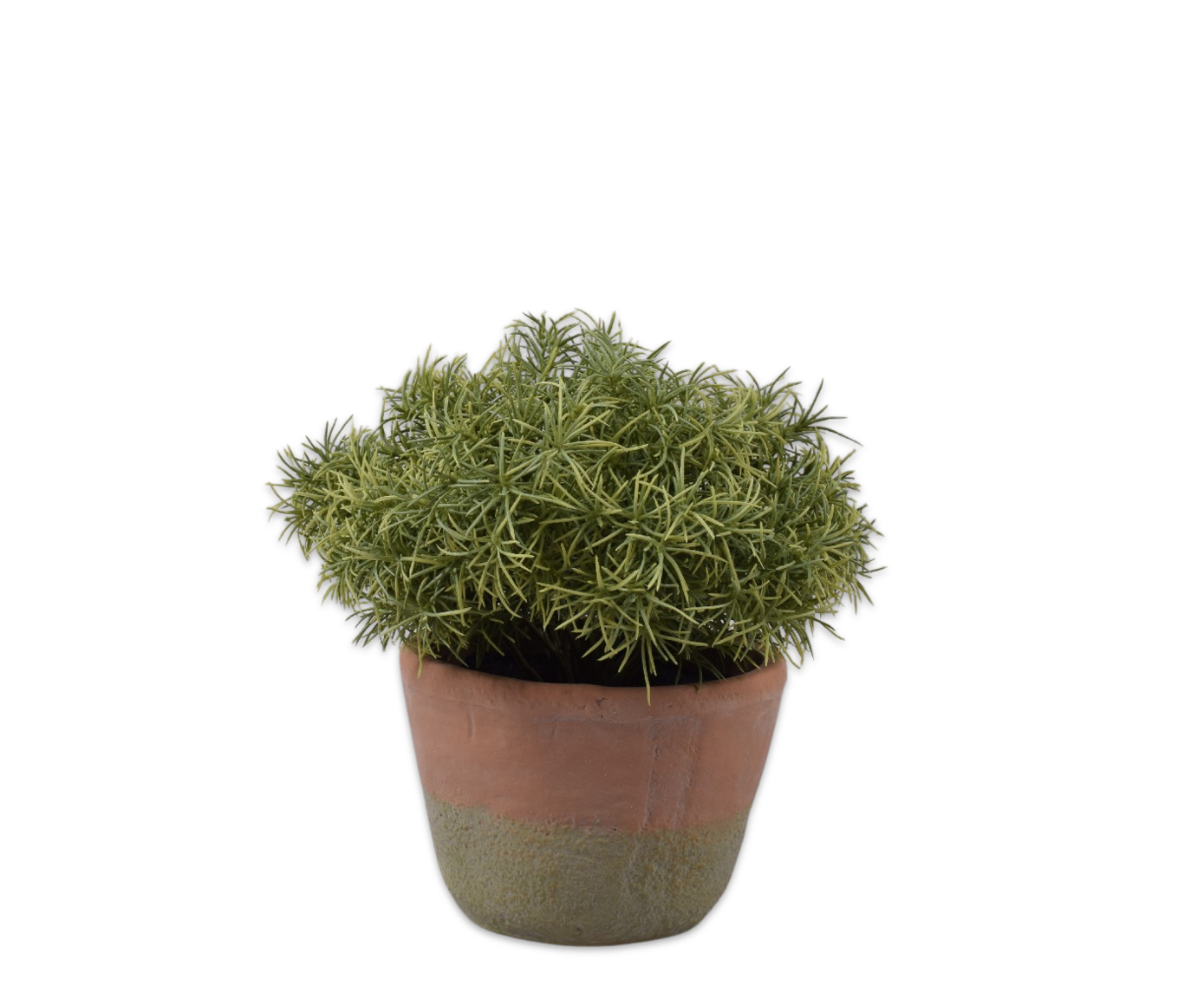 ASPARAGUS  GROEN  24 cm (set of 4)