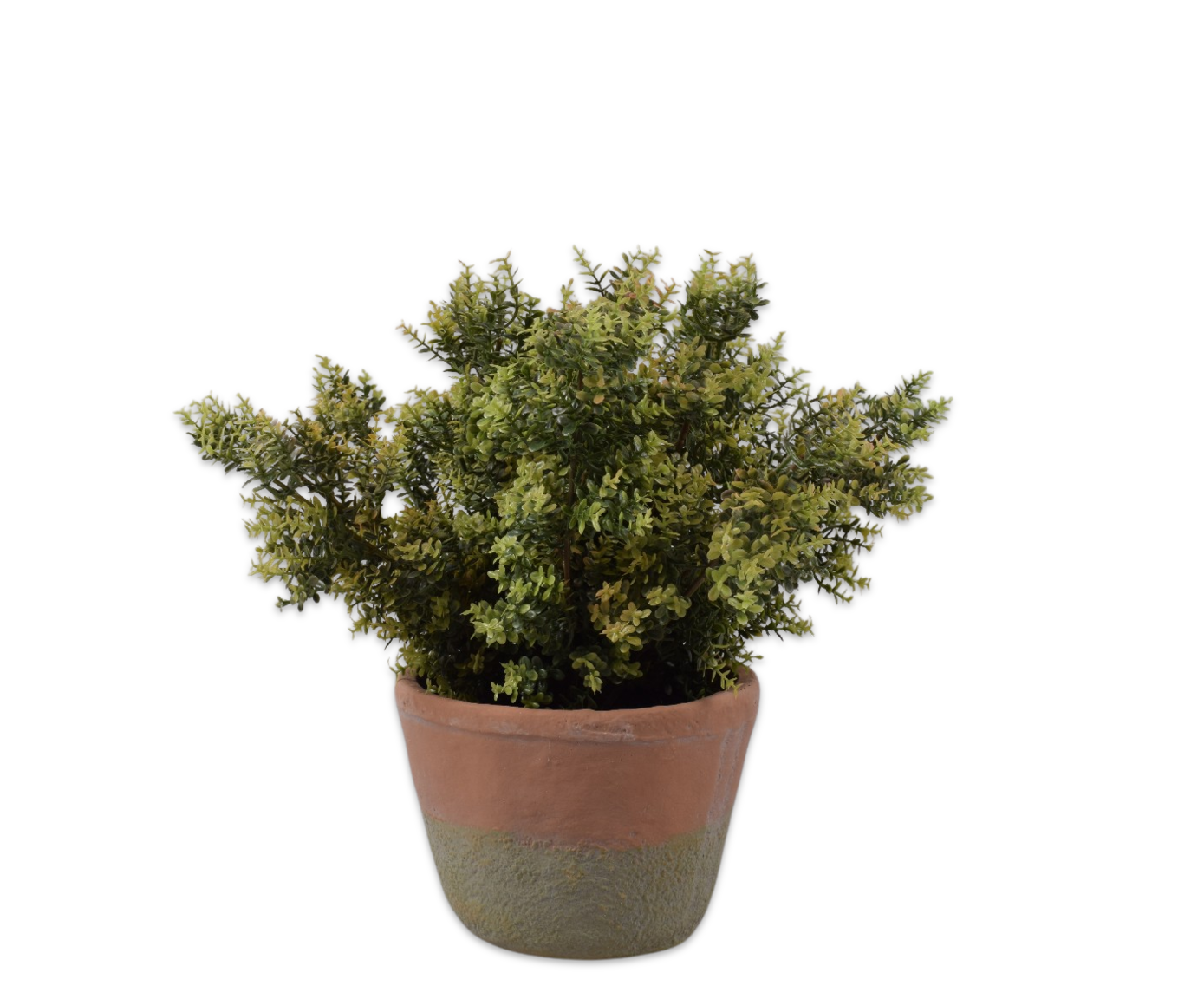 LAURIER  GROEN  31 cm (set of 4)