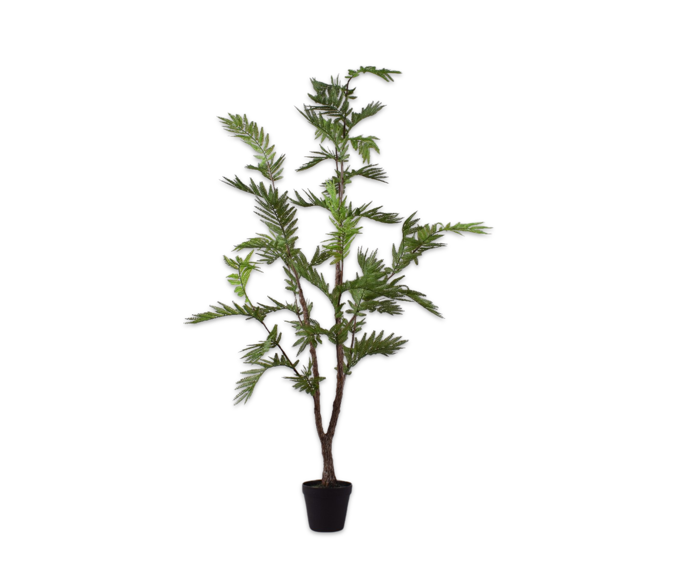 MIMOSA I/POT GROEN 124 cm (set of 2)