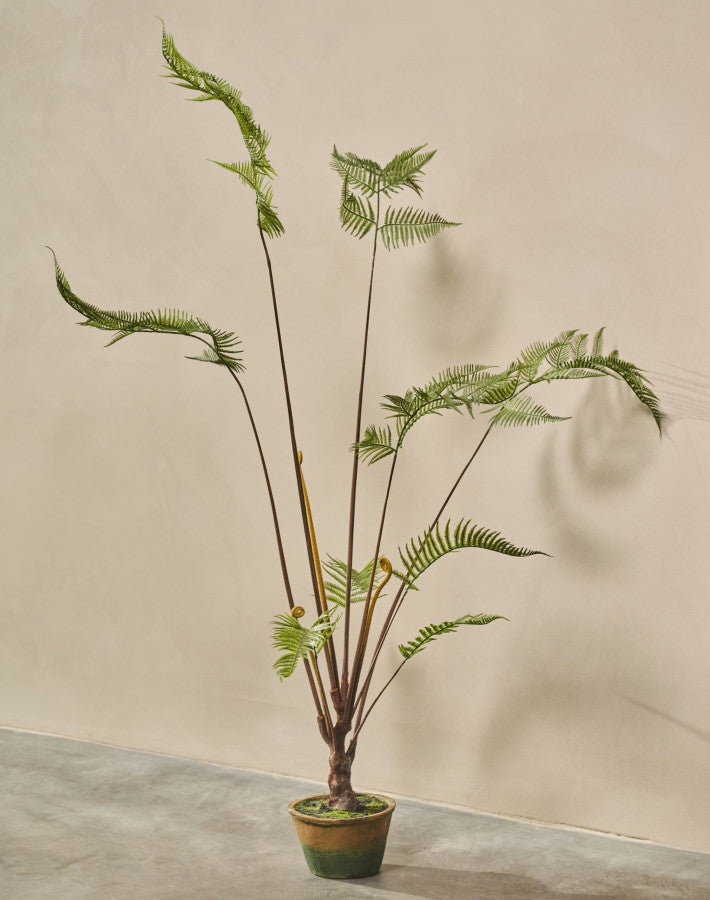 VAREN  GROEN  150 cm