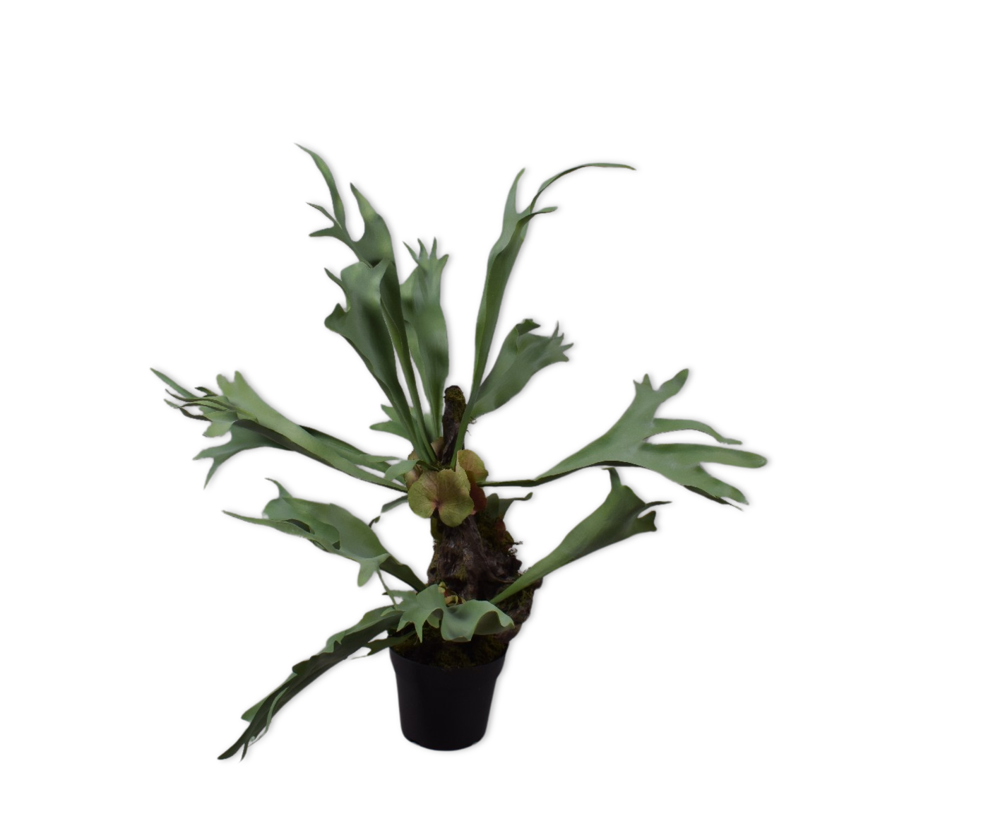 HERTSHOORN  GROEN  92 cm
