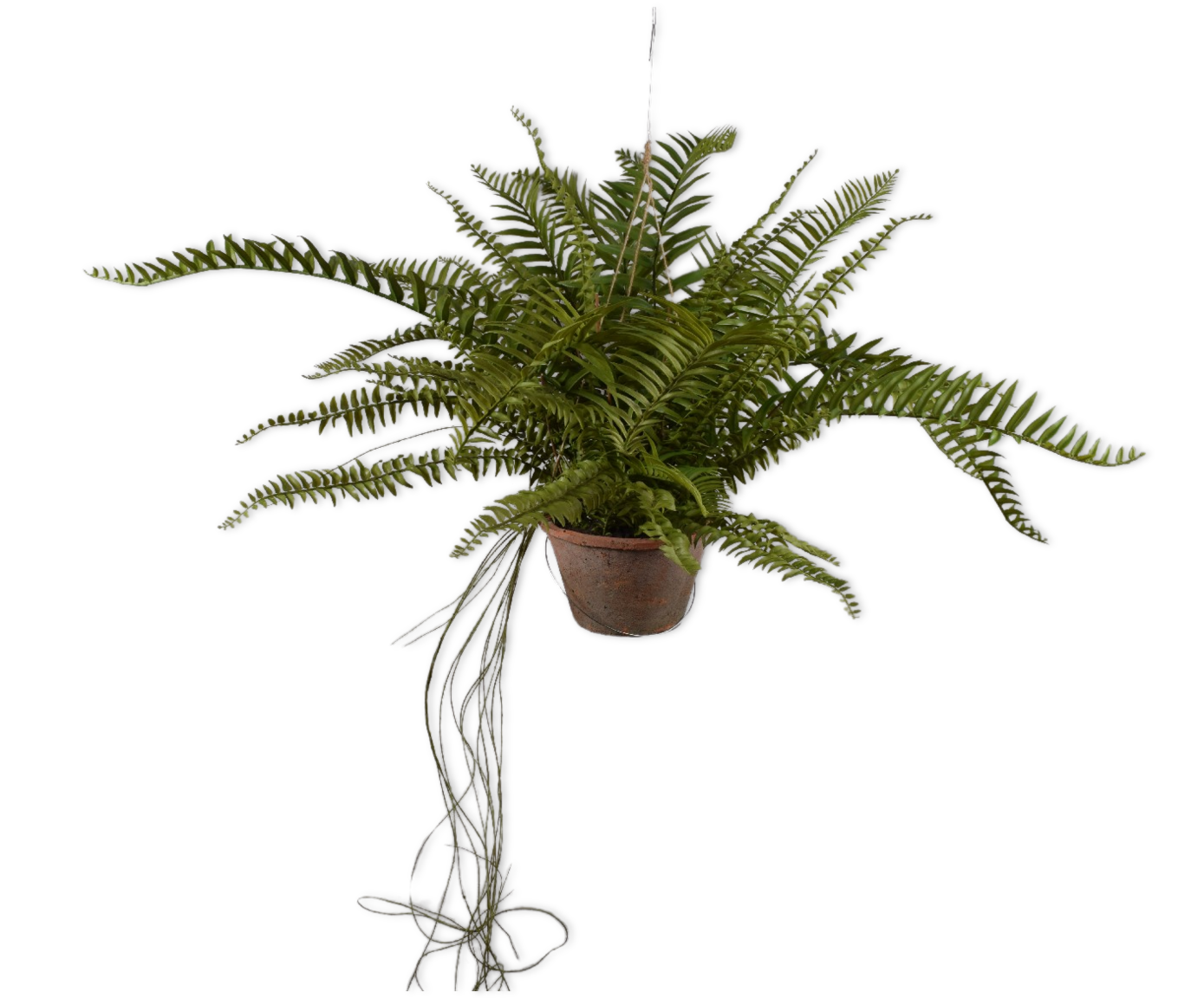 VAREN HANG GROEN  76 cm