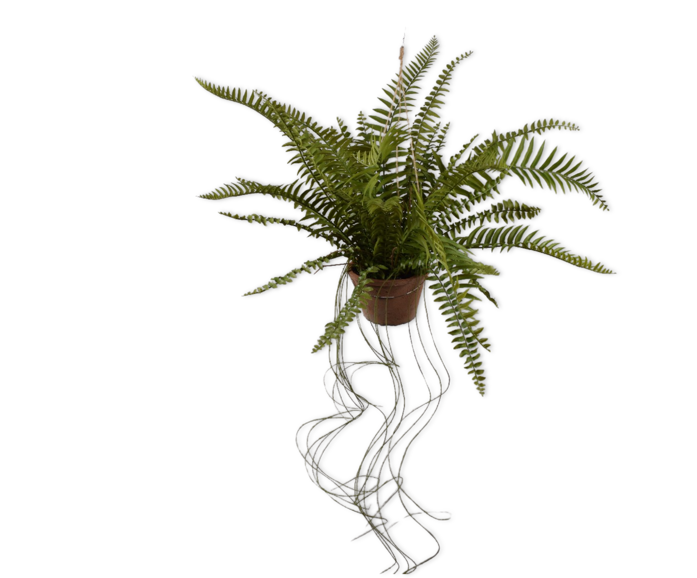 VAREN HANG GROEN  74 cm