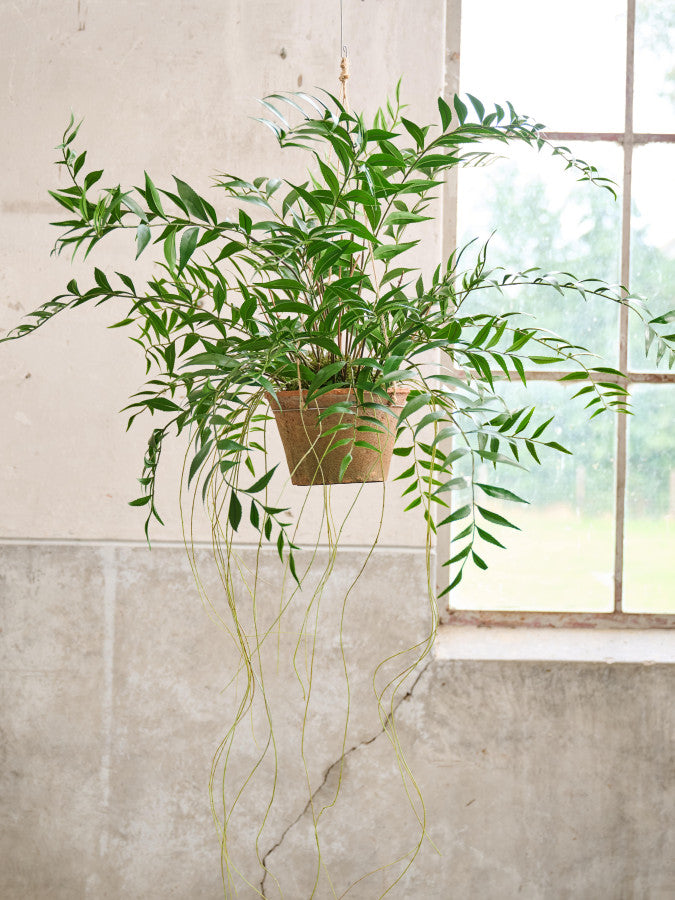 VAREN HANG GROEN  71 cm