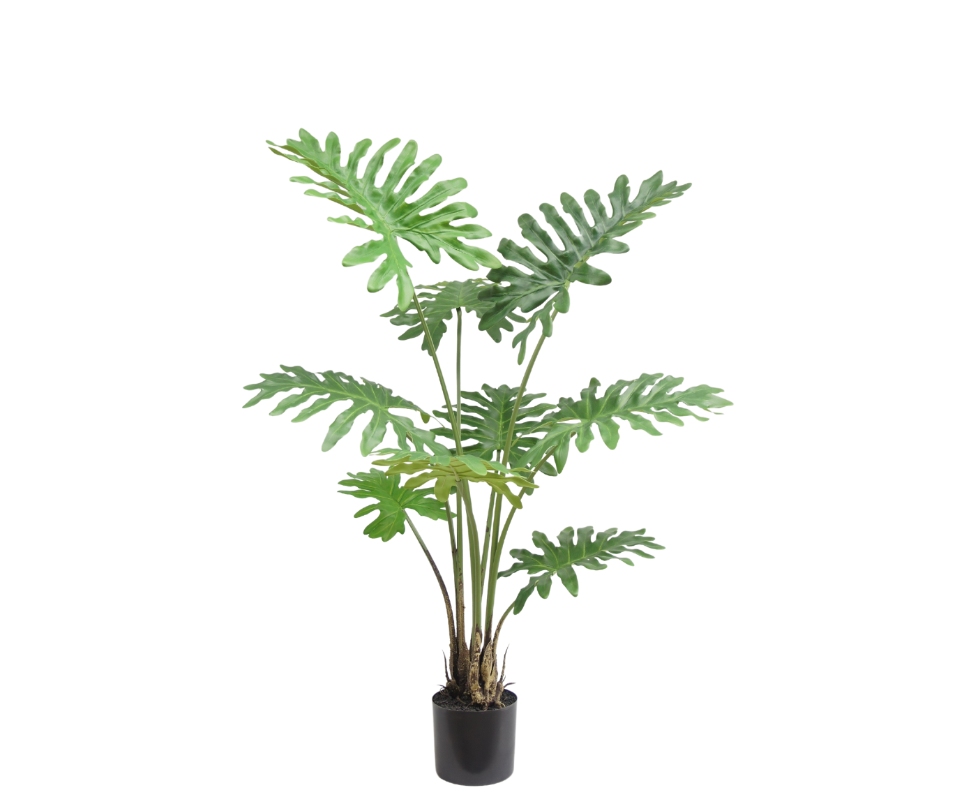 PHILODENDRON PLANT GROEN  115 cm