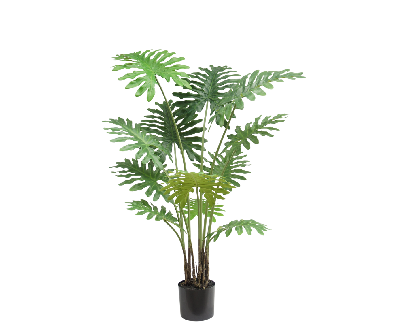 PHILODENDRON PLANT GROEN  130 cm