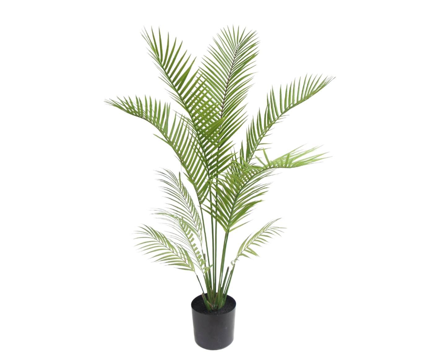 PALM PLANT GROEN  120 cm