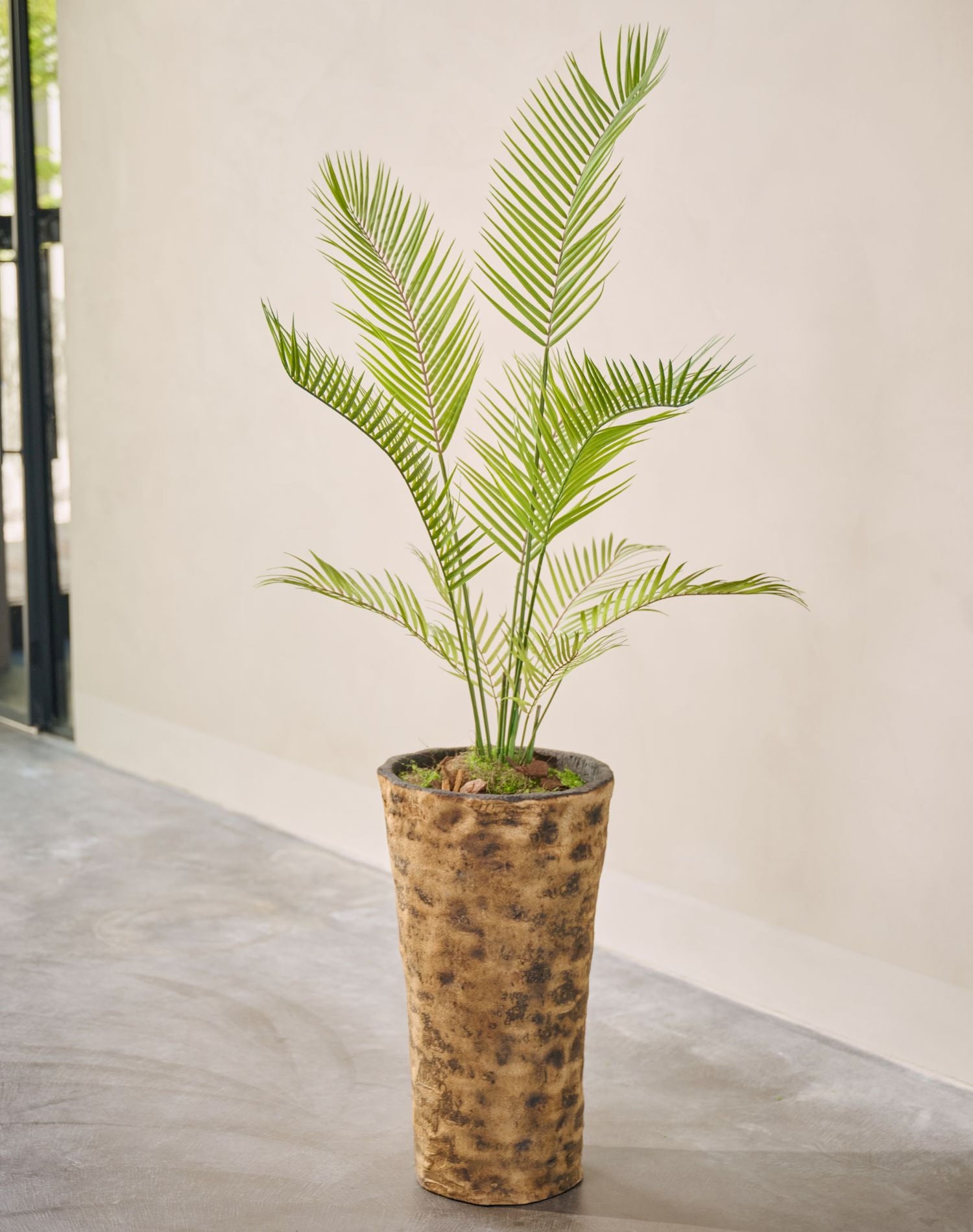 PALM PLANT GROEN  120 cm