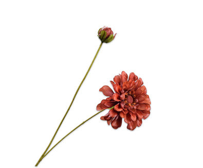Losse zijdenbloem - Zinnia  Bruin Rt - 62 cm