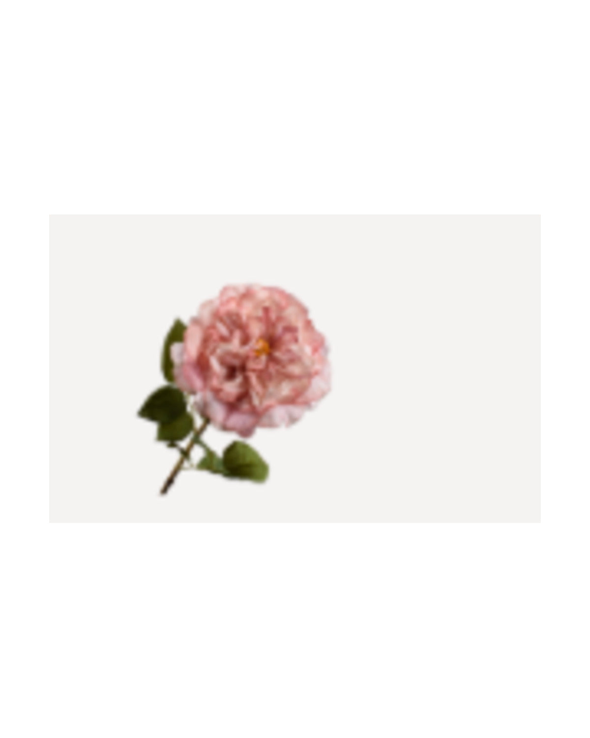 Losse zijden bloem Roos mauve real touch 70 cm