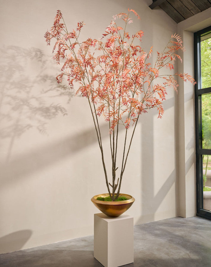 WILG I/POT BRN LT  300 cm