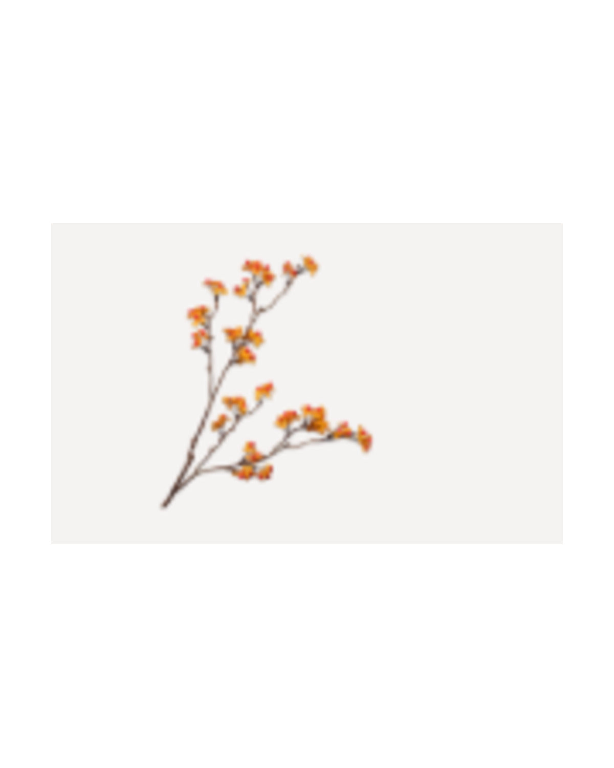 Losse zijden bloem Kardinaalsmuts oranje/geel 63 cm