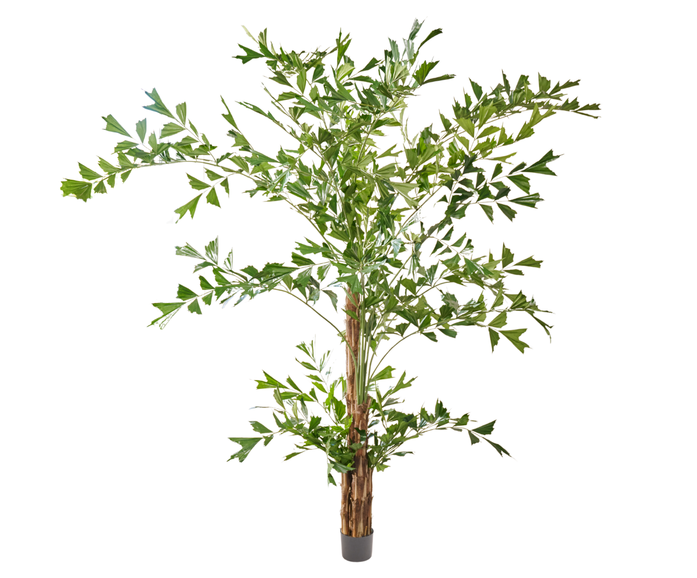 PALM I/POT GROEN  300 cm