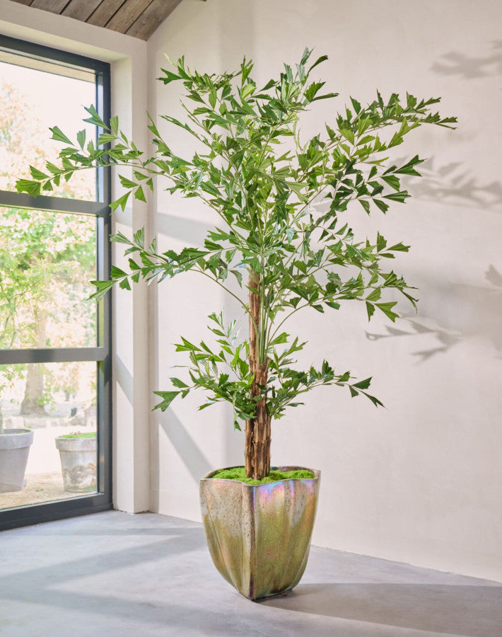 PALM I/POT GROEN  300 cm
