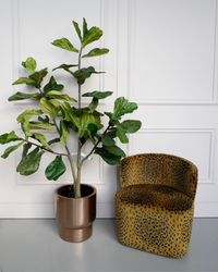 Ficus - Janice blok - Zijden plant - Kunst plant - 180cm