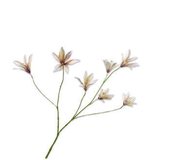 Losse zijdenbloem - Lelie  Lav/Cr - 85 cm