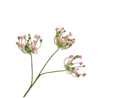 Losse zijdenbloem - Dille  Roze - 83 cm