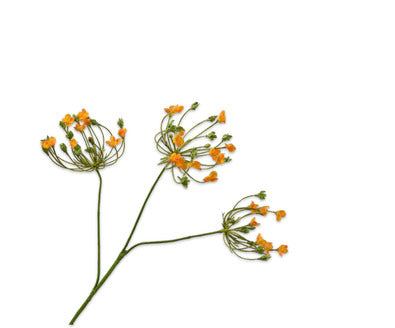 Losse zijdenbloem - Dille  Oranje - 83 cm