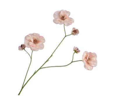 Losse zijdenbloem - Lisianthus  Pzk Lt Rt - 96 cm