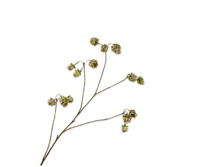 Losse zijdenbloem - Hop  Grn/Roz - 108 cm