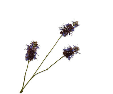 Losse zijdenbloem - Salvia  Paars - 74 cm