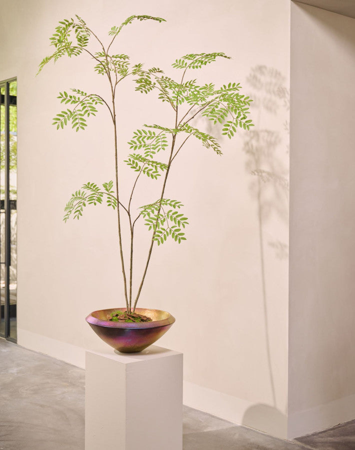 ARALIA I/POT GROEN  235 cm