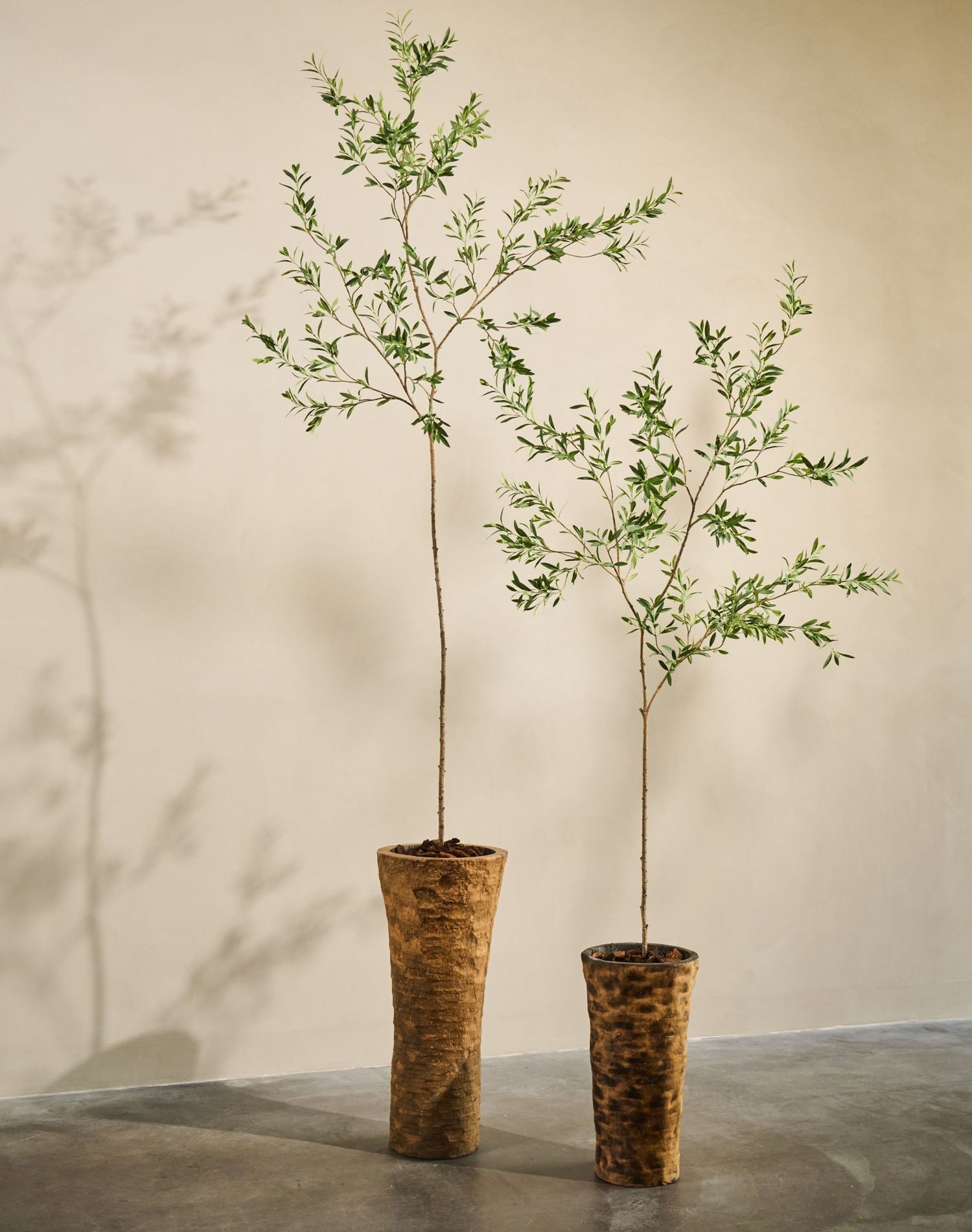 OLIJF I/POT GROEN  298 cm