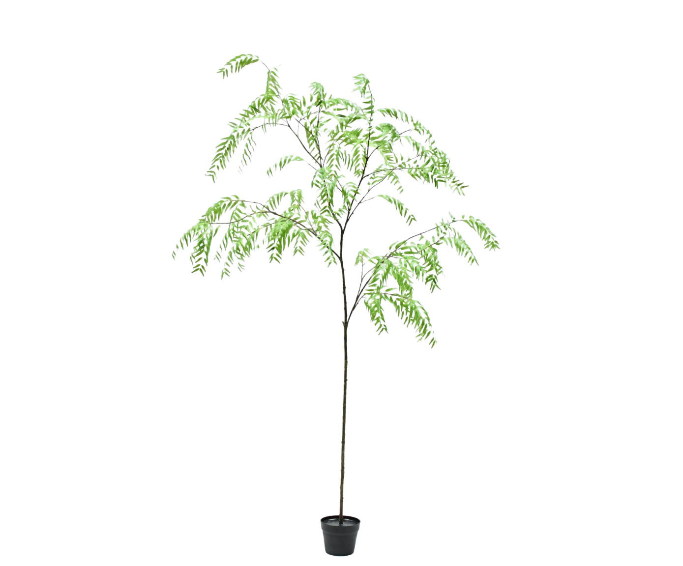 WILG I/POT GROEN  230 cm