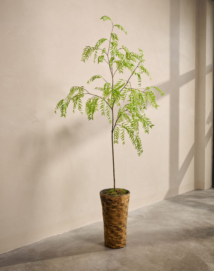 WILG I/POT GROEN  230 cm