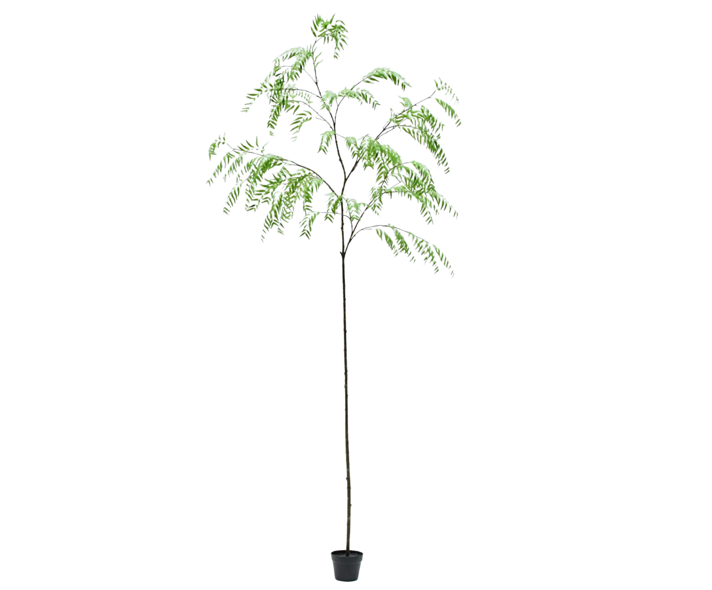 WILG I/POT GROEN  293 cm
