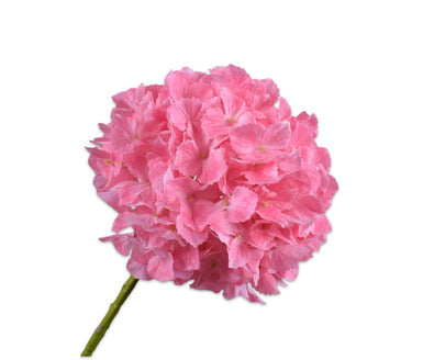Losse zijdenbloem - Hortensia  Roze Dk Rt - 64 cm